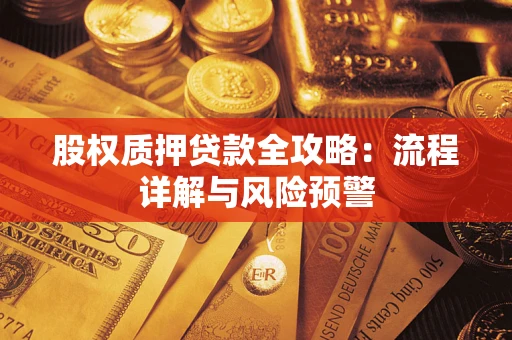 北京股权质押贷款全攻略：流程详解与风险预警
