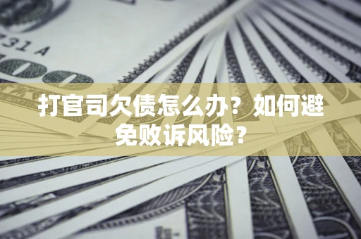 北京打官司欠债怎么办？如何避免败诉风险？