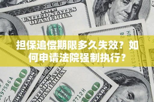 北京担保追偿期限多久失效？如何申请法院强制执行？